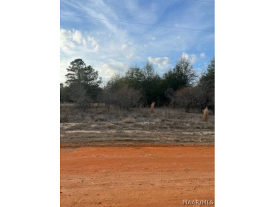William Dannelly Reservoir Lot For Sale in Camden Alabama