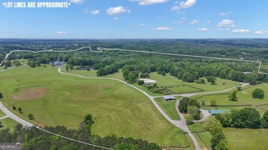 Watch Video! Experience unmatched luxury and recreation on 357 - photo 4