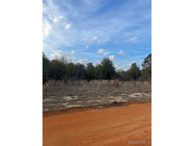 William Dannelly Reservoir / Lake Dannelly Lot For Sale in Camden Alabama