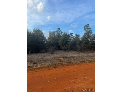 William Dannelly Reservoir Lot For Sale in Camden Alabama