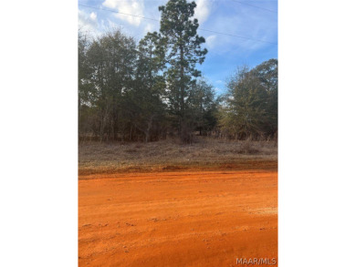 William Dannelly Reservoir Lot For Sale in Camden Alabama