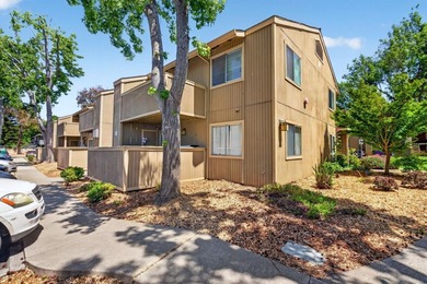 The condo has just been fully remodeled with a newly updated - photo 26