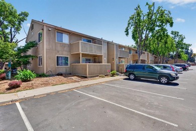 The condo has just been fully remodeled with a newly updated - photo 27