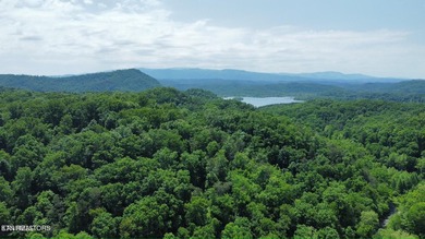 Tellico Lake Acreage Sale Pending in Maryville Tennessee