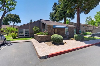 The condo has just been fully remodeled with a newly updated - photo 31