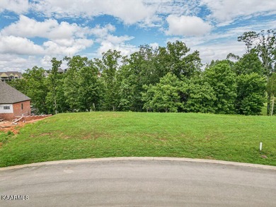 Prime lakeview homesite in the heart of WindRiver Lakefront & - photo 2