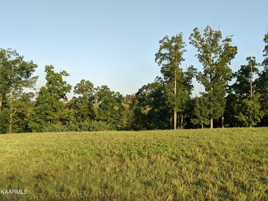 Prime lakeview homesite in the heart of WindRiver Lakefront & - photo 9