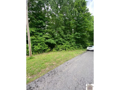 Lake Lot For Sale in Eddyville, Kentucky
