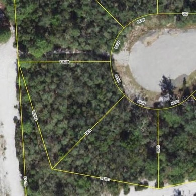 Lake Marion - Polk County Lot For Sale in Kissimmee Florida