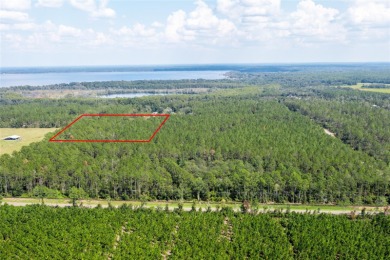 Lake Acreage For Sale in Earleton, Florida