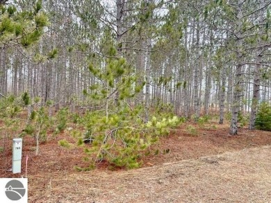 (private lake, pond, creek) Lot For Sale in Thompsonville Michigan