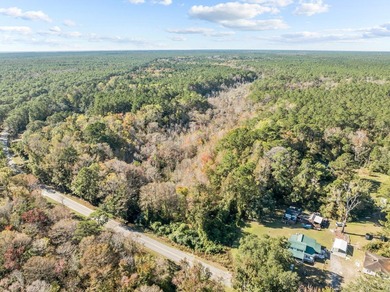 Located in charming McClellanville, SC, this stunning 2-acre lot - photo 3