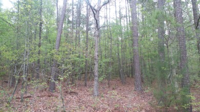 Strom Thurmond / Clarks Hill Lake Lot For Sale in Tignall Georgia