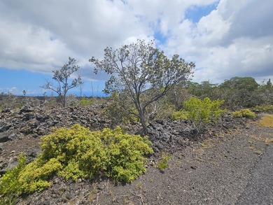 Great lot with ocean views and views of South Point, nestled in - photo 1