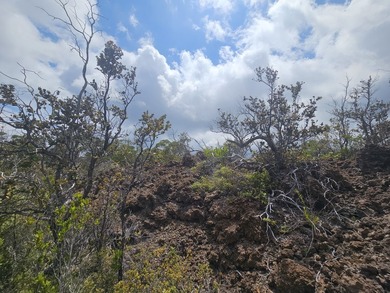 Great lot with ocean views and views of South Point, nestled in - photo 8