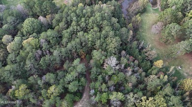 Looking for a few acres to build your dream home or cabin. This - photo 5