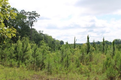 Reduced price!!!!!!!!! Beautiful large lot on 1.49 acres, just - photo 3