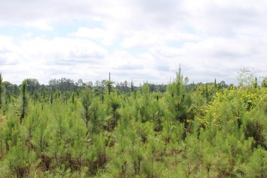 Reduced price!!!!!!!!! Beautiful large lot on 1.49 acres, just - photo 4