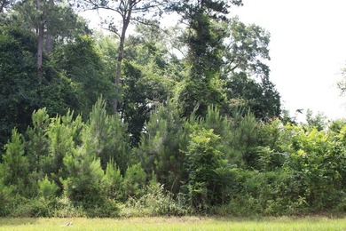 Reduced price!!!!!!!!! Beautiful large lot on 1.49 acres, just - photo 6