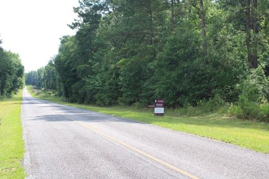Reduced price!!!!!!!!! Beautiful large lot on 1.49 acres, just - photo 8