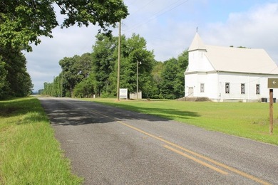 Reduced price!!!!!!!!! Beautiful large lot on 1.49 acres, just - photo 9