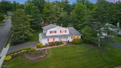 STYLISH 3-BED/2.1 BATH SPLIT-LEVEL HOME IN QUIET NEIGHBORHOOD - photo 1