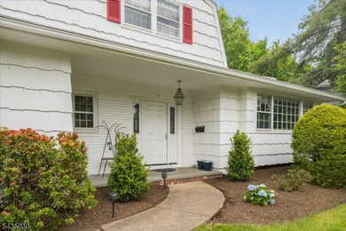 STYLISH 3-BED/2.1 BATH SPLIT-LEVEL HOME IN QUIET NEIGHBORHOOD - photo 9