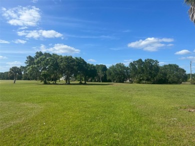 Peace River Lot For Sale in Arcadia Florida