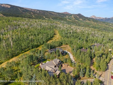Perched atop Ridge Run on a private 3/4-acre lot, this Michael - photo 11