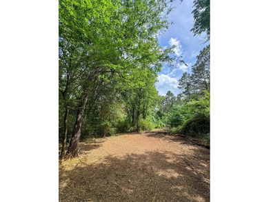 HunterFocused Listing 22.5 Acres Douglassville, Texas Seller - photo 11