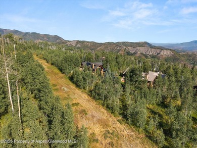 Perched atop Ridge Run on a private 3/4-acre lot, this Michael - photo 12