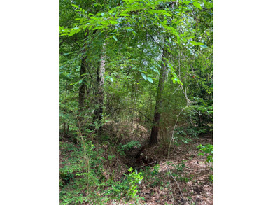 HunterFocused Listing 22.5 Acres Douglassville, Texas Seller - photo 12