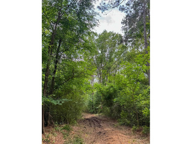 HunterFocused Listing 22.5 Acres Douglassville, Texas Seller - photo 14