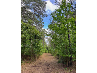 HunterFocused Listing 22.5 Acres Douglassville, Texas Seller - photo 16