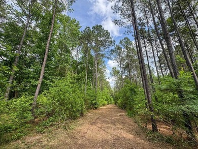 HunterFocused Listing 22.5 Acres Douglassville, Texas Seller - photo 17