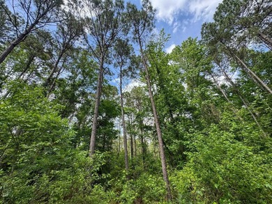 HunterFocused Listing 22.5 Acres Douglassville, Texas Seller - photo 18