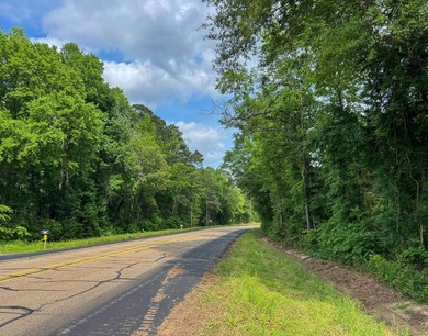 HunterFocused Listing 22.5 Acres Douglassville, Texas Seller - photo 22
