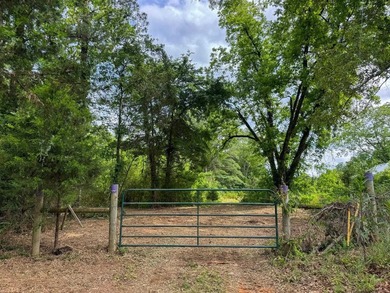HunterFocused Listing 22.5 Acres Douglassville, Texas Seller - photo 23