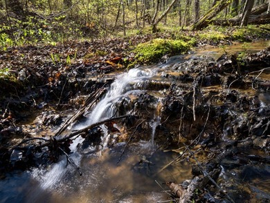 Welcome to an exceptional 42 acre opportunity to own land - photo 1