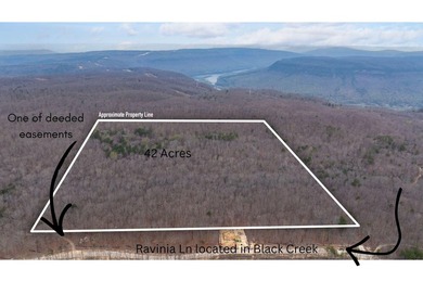 Welcome to an exceptional 42 acre opportunity to own land - photo 2