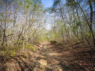Welcome to an exceptional 42 acre opportunity to own land - photo 3