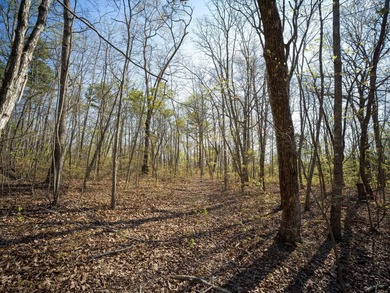Welcome to an exceptional 42 acre opportunity to own land - photo 4