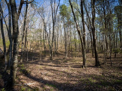 Welcome to an exceptional 42 acre opportunity to own land - photo 5