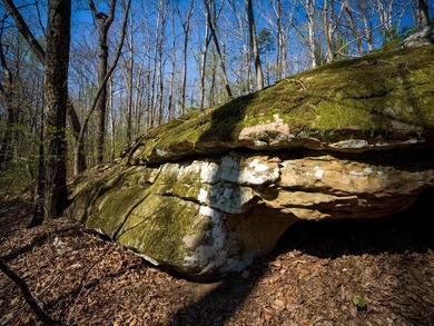 Welcome to an exceptional 42 acre opportunity to own land - photo 6