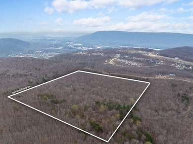 Welcome to an exceptional 42 acre opportunity to own land - photo 8