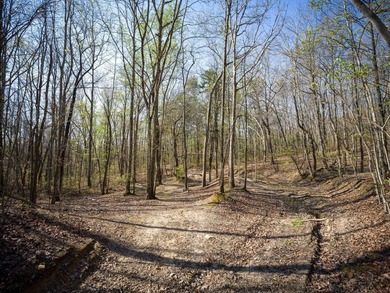Welcome to an exceptional 42 acre opportunity to own land - photo 9