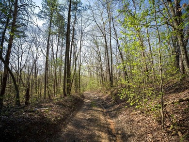 Welcome to an exceptional 42 acre opportunity to own land - photo 10