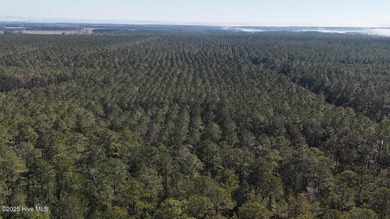 Welcome to Lot 7 in The Preserve subdivision, a stunning 26-acre - photo 11