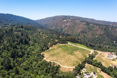 This property presents an unparalleled offering within the 20+ - photo 13