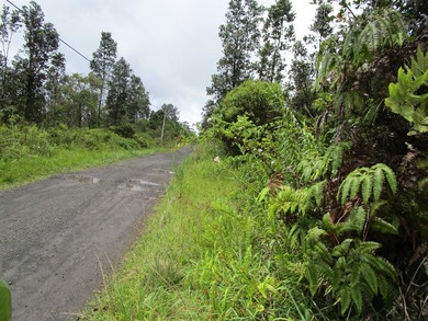 Enjoy the cool climate of the area! Listen to the birds sing all - photo 3